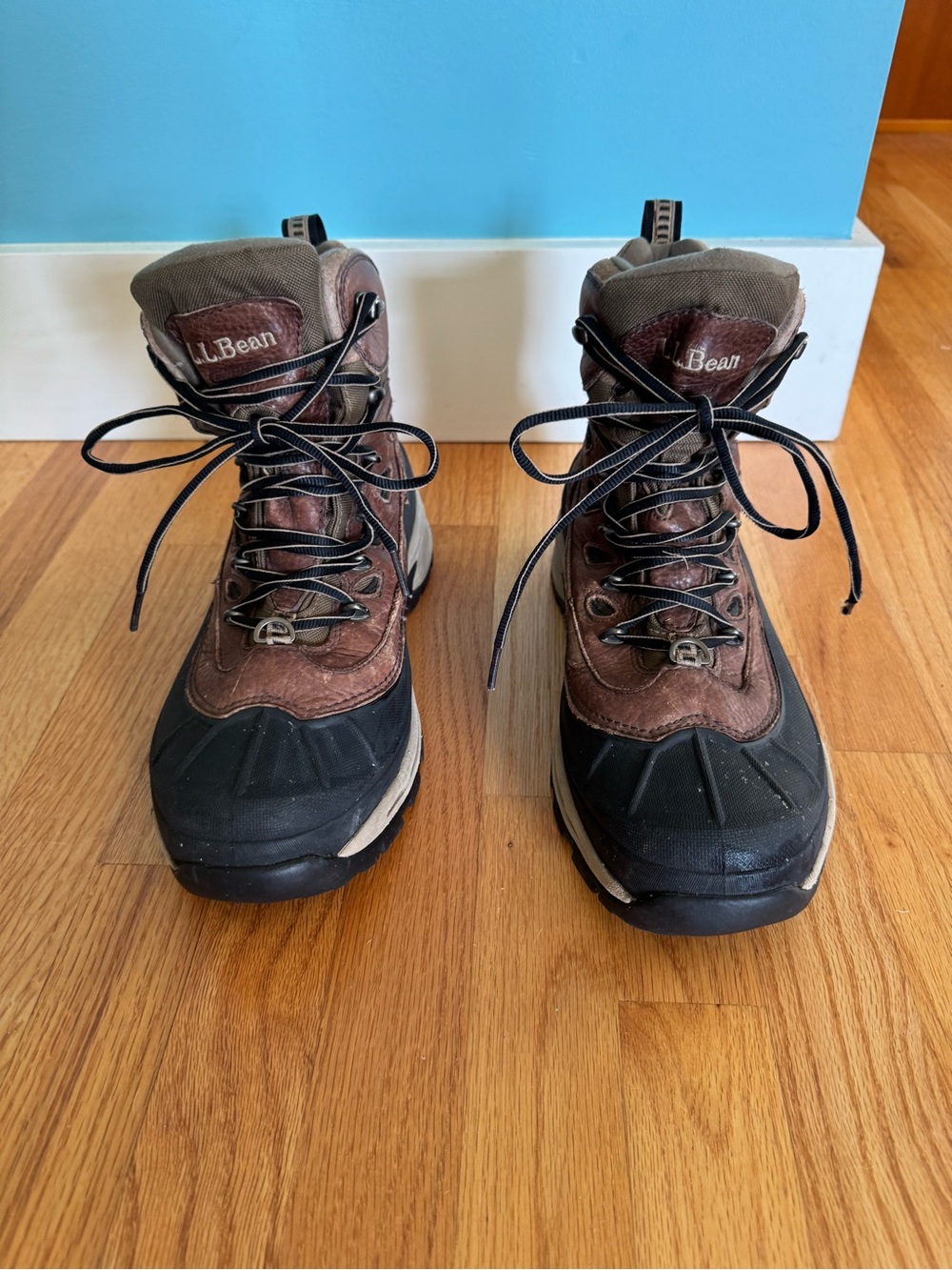 L.L. Bean Brown and Black Men's Waterproof Hiking Boots with Thinsulate